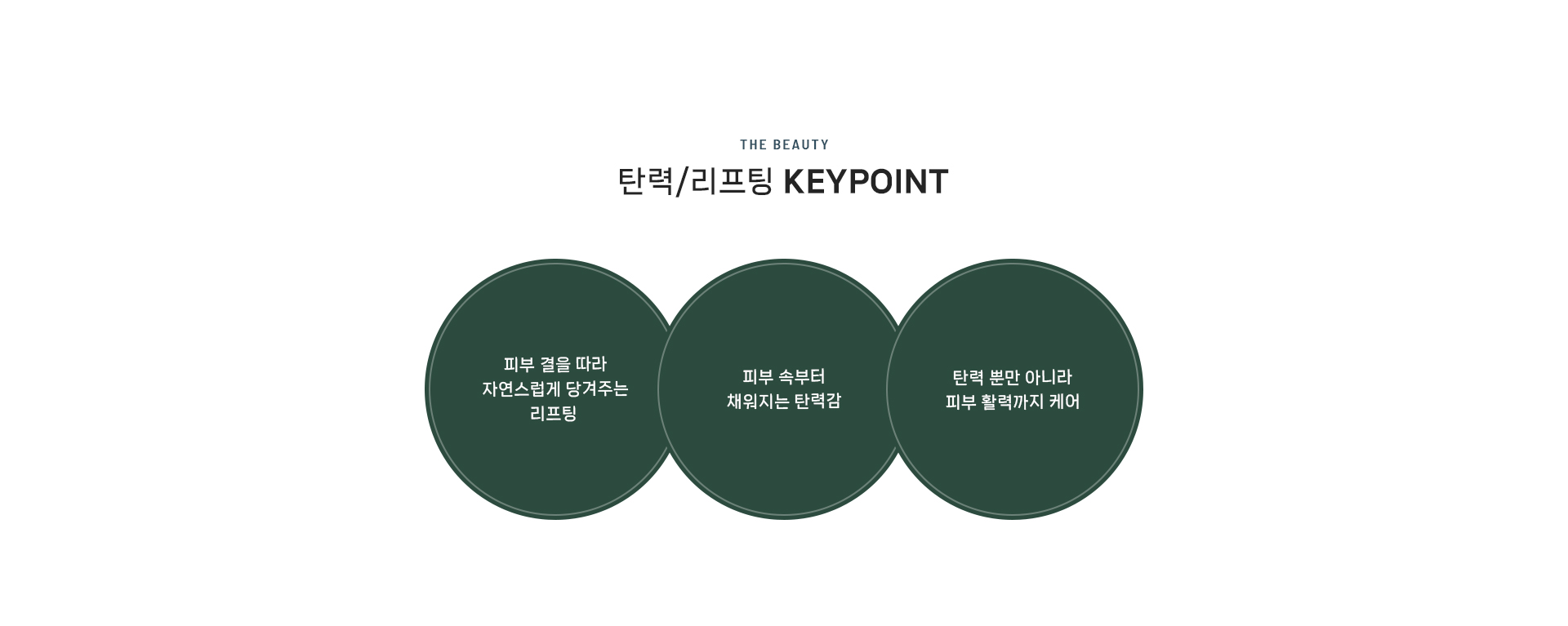 탄력/리프팅 상세04