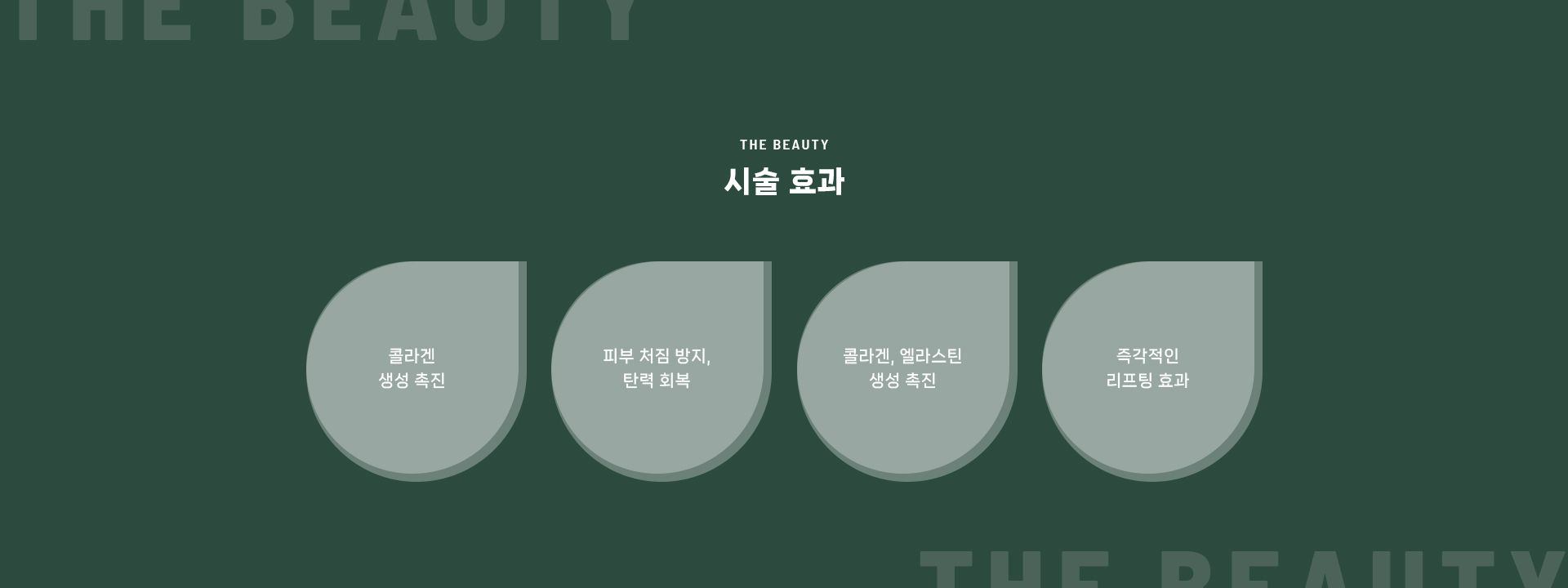 탄력/리프팅 상세07