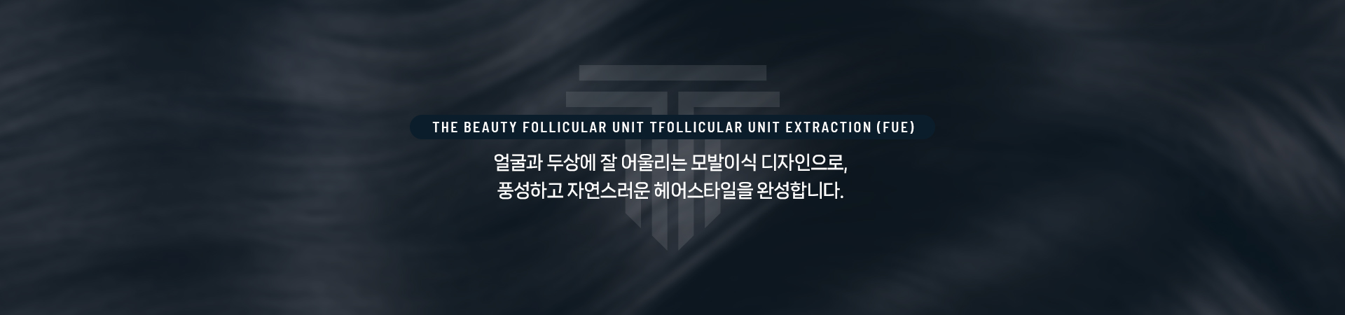 비절개이식 상세07