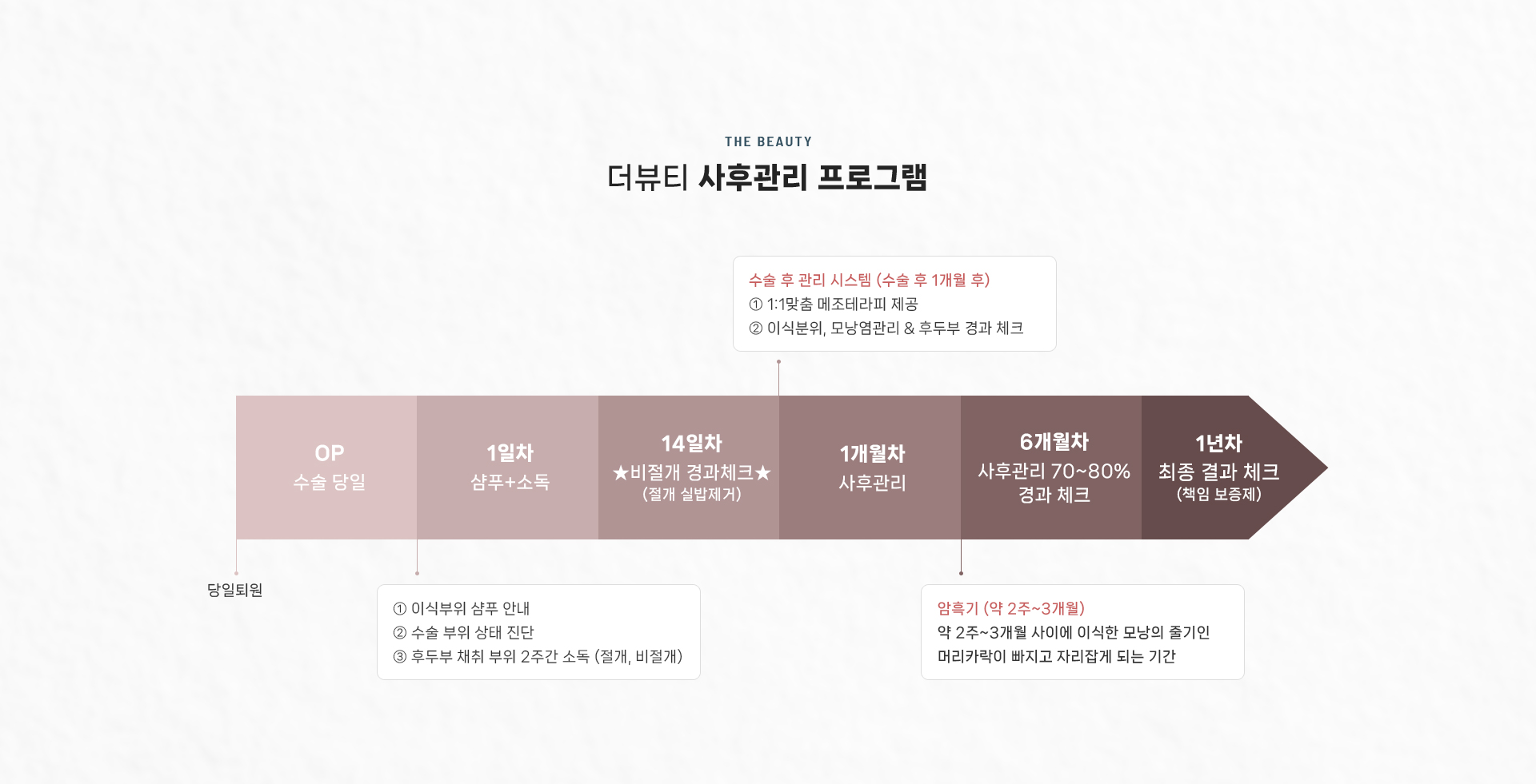 비절개이식 상세10
