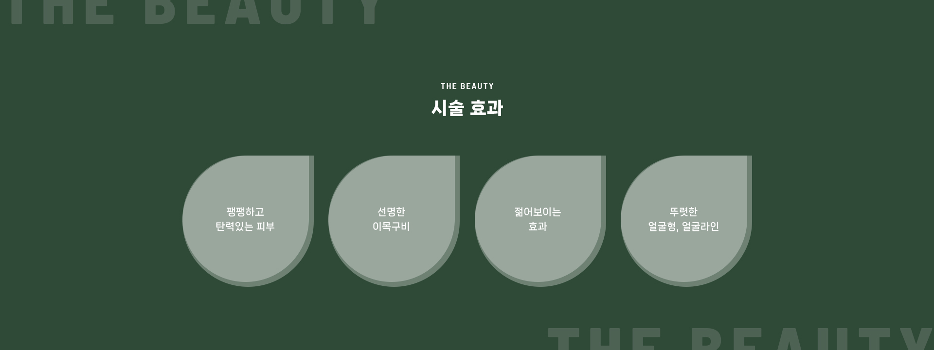 안면거상 상세08