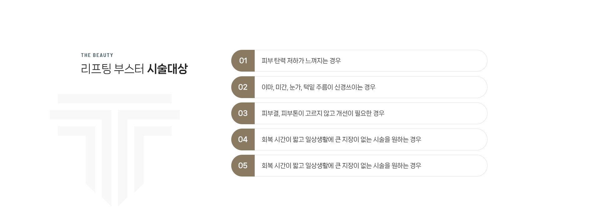 리프팅부스터 상세02