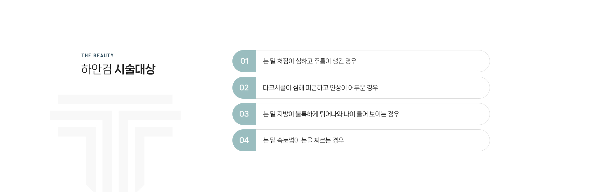 하안검 상세02