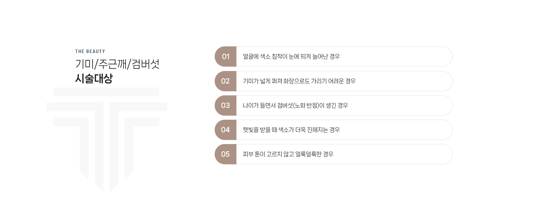 기미/주근깨/검버섯 상세02