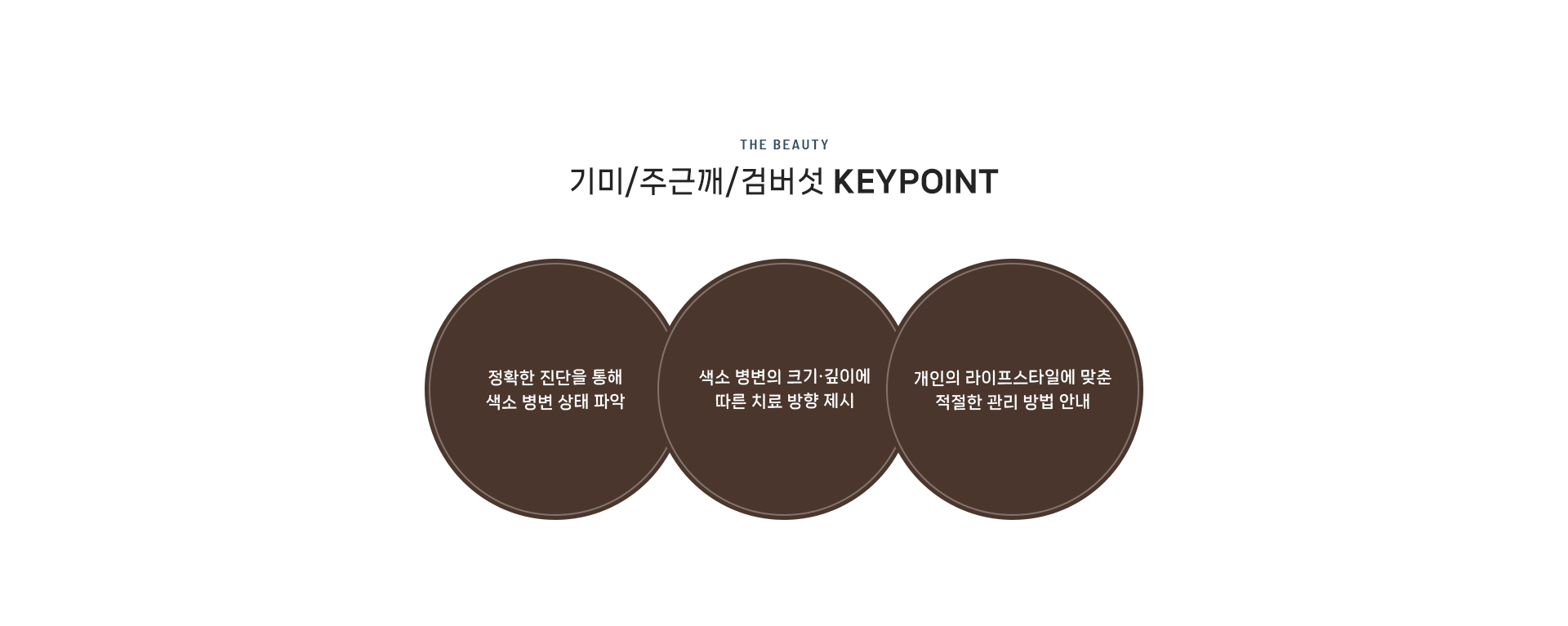 기미/주근깨/검버섯 상세04