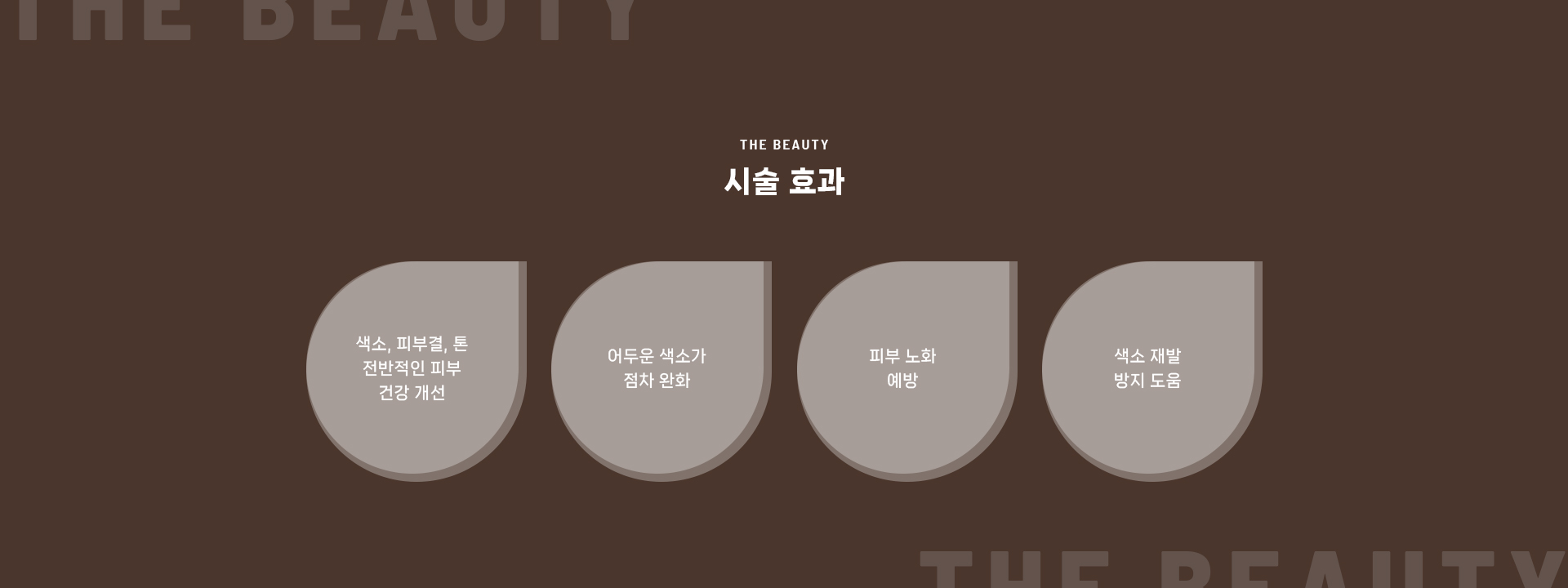 기미/주근깨/검버섯 상세07