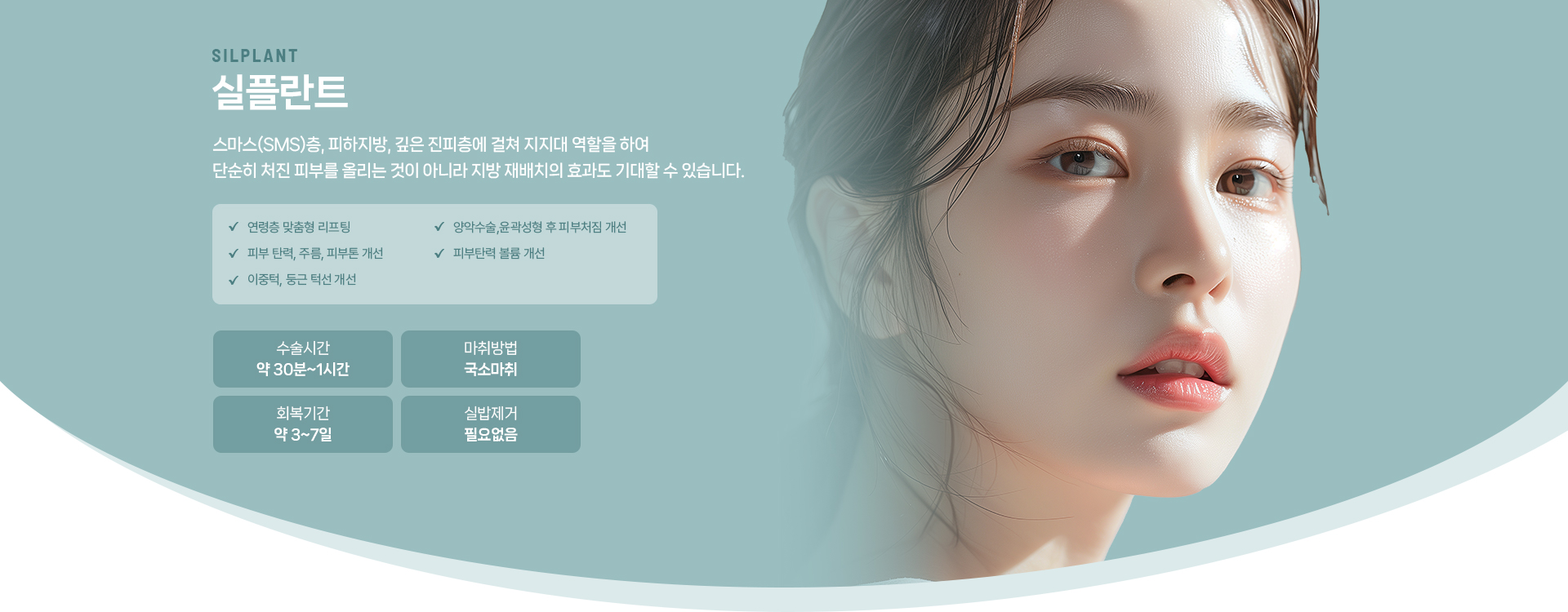 실플란트 상세01
