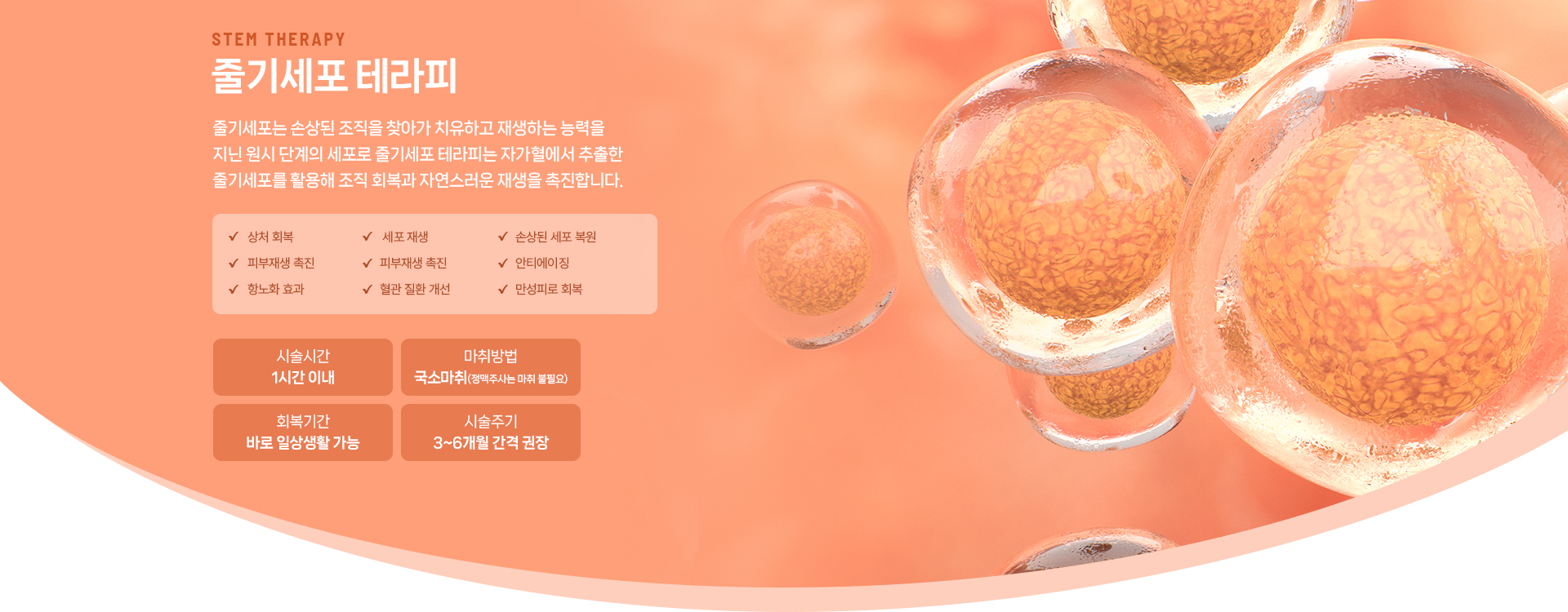 줄기세포 셀테라피 상세01