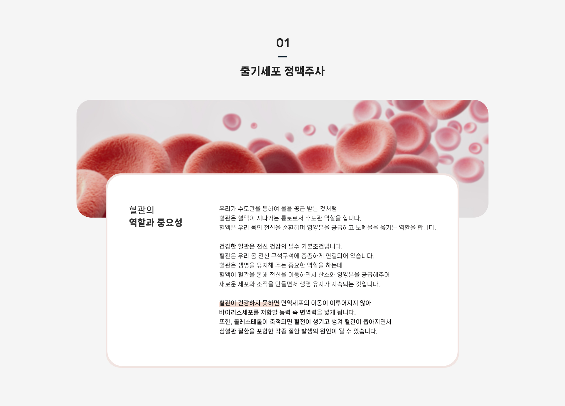 줄기세포 셀테라피 상세04