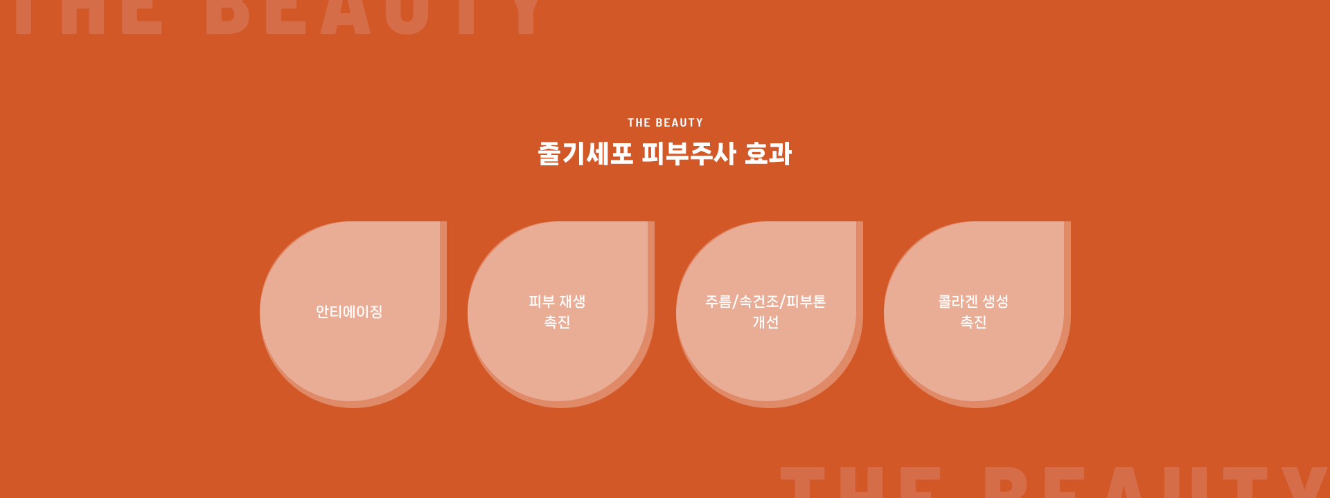 줄기세포 셀테라피 상세08