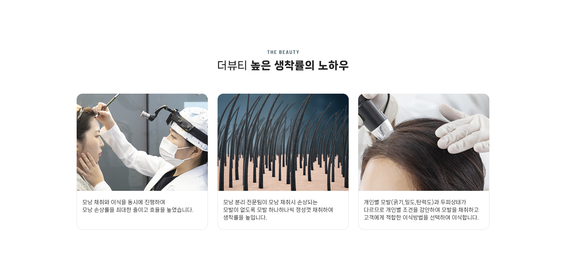절개이식 상세09