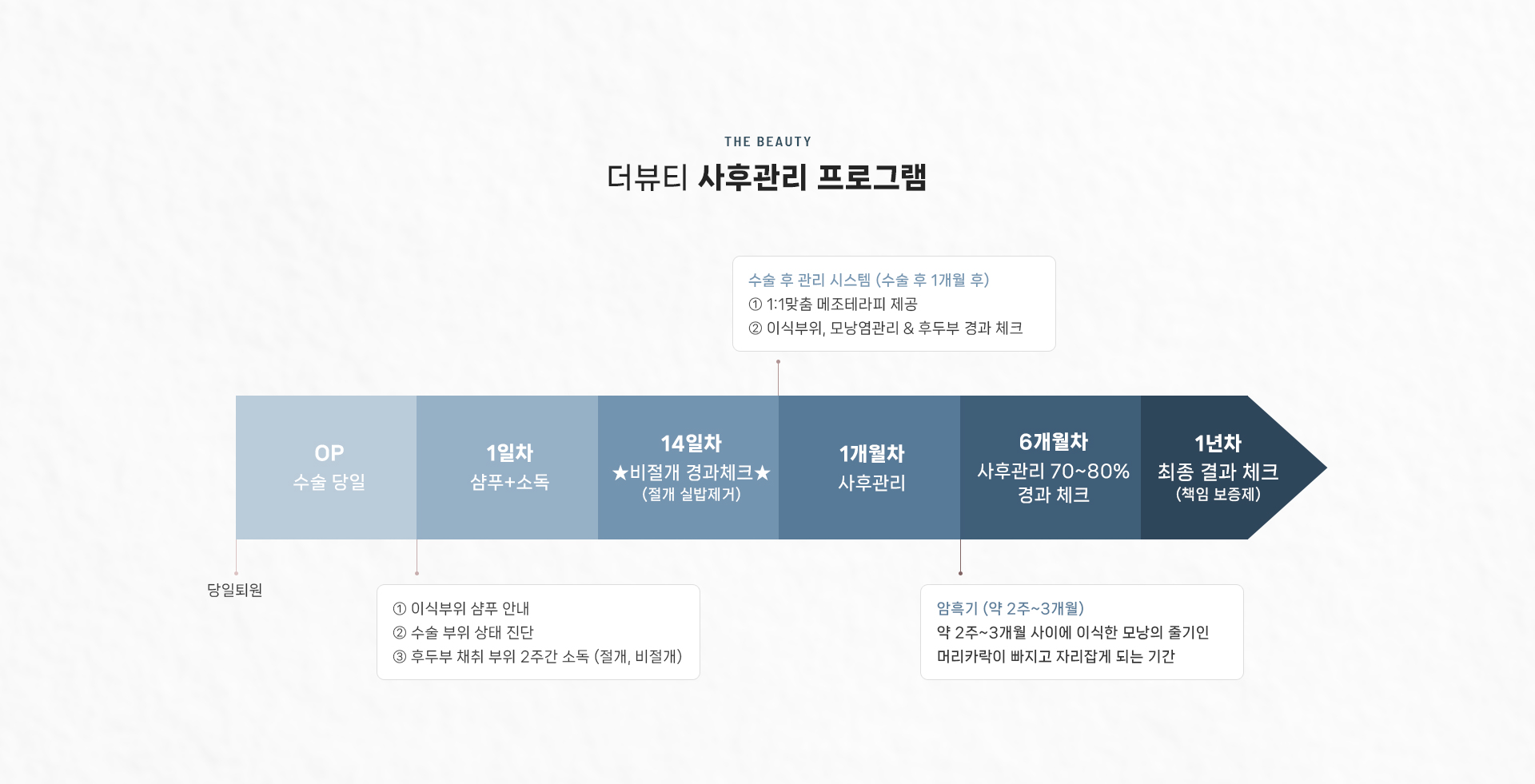 절개이식 상세12