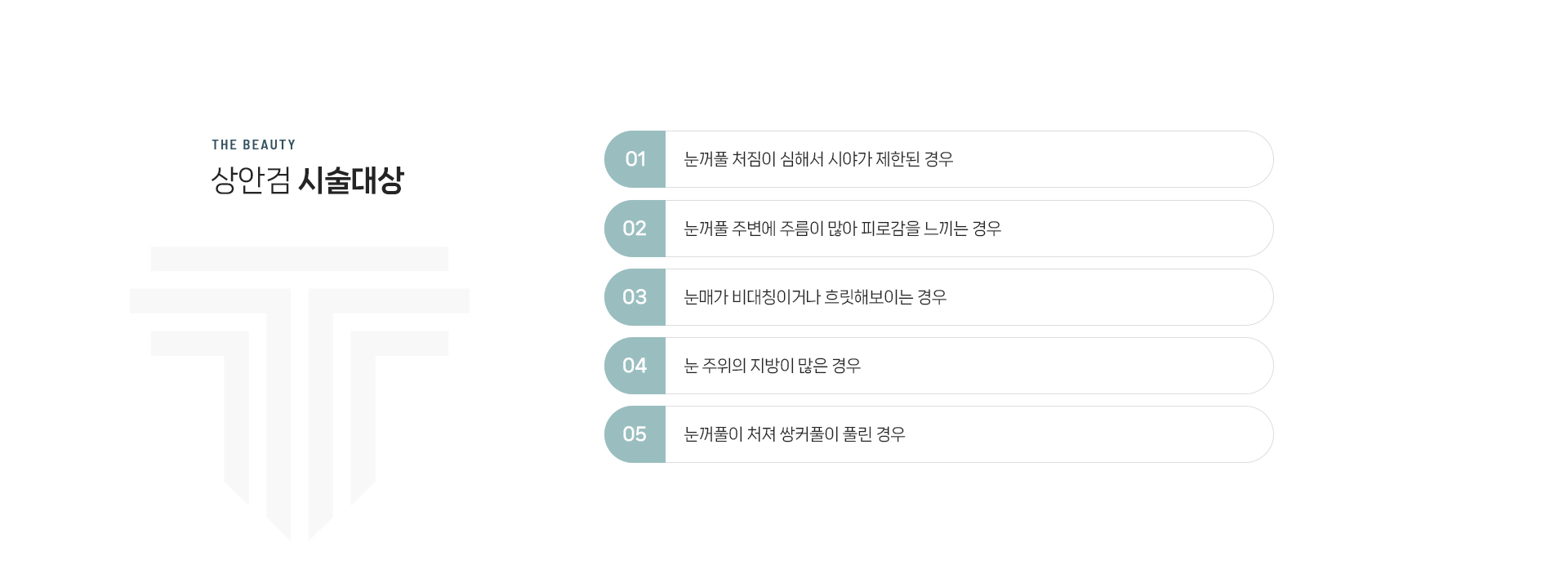 상안검 상세02
